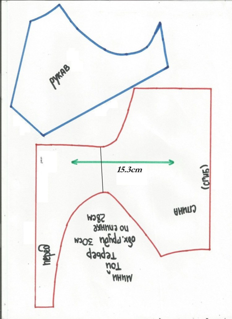 Выкройка комбинезона для собаки девочки цвергпинчера