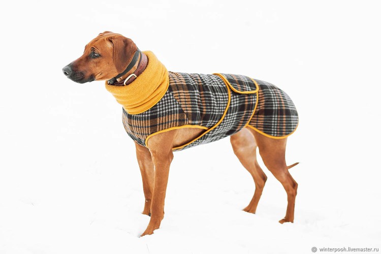 Лекало одежды для собак