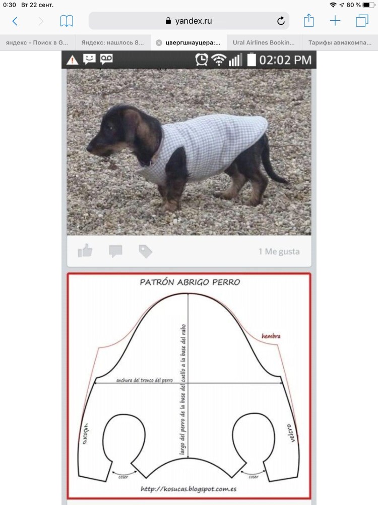Выкройки одежды для собак таксы для начинающих
