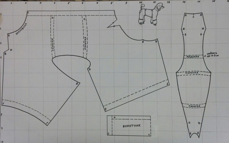 Выкройки одежды для собак китайская хохлатая
