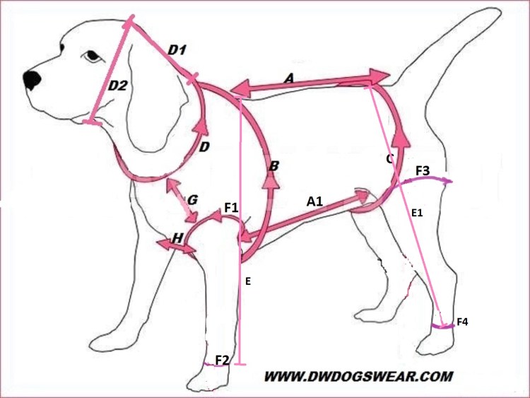 Мерки для собак для комбинезона
