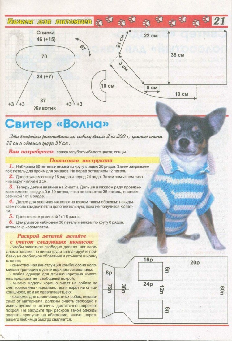 Схема вязки комбинезона для собаки чихуа