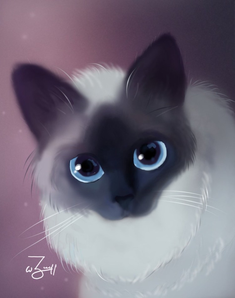 Коты Аристократы