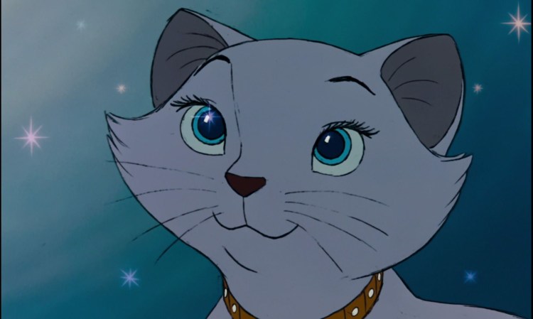 Белая кошка с розовым бантом