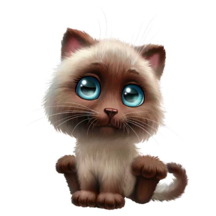 Кошка Мэри коты Аристократы