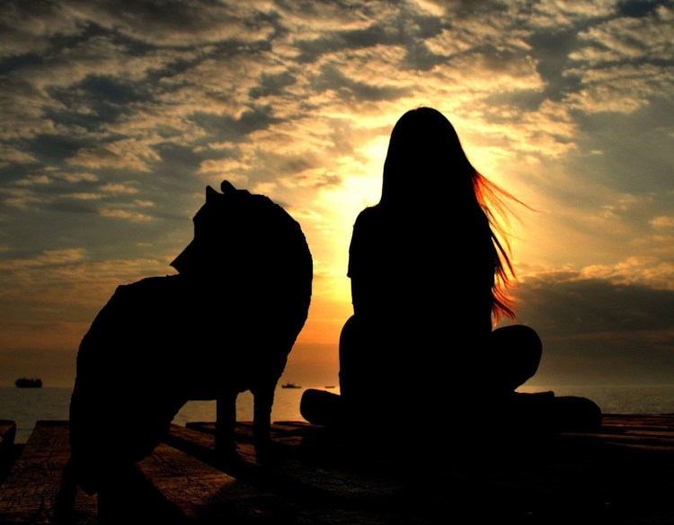 Девочка и волк силуэт