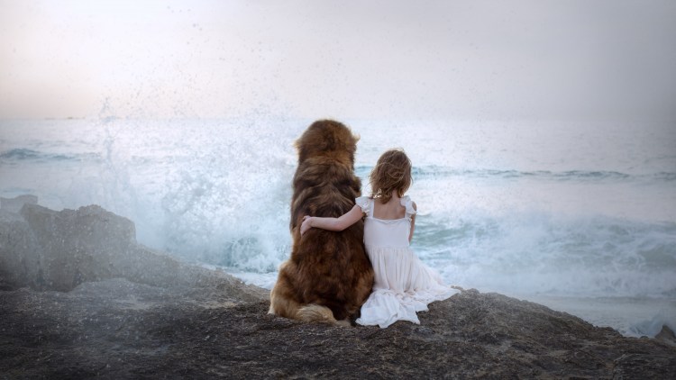 Хозяин собаки