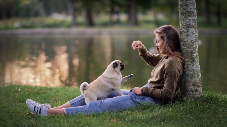 Девушка с большой собакой