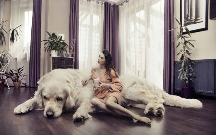 Йована Вентура с доберманом