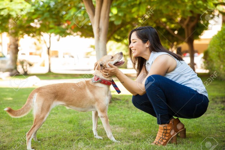 Девушка изменяет с собакой