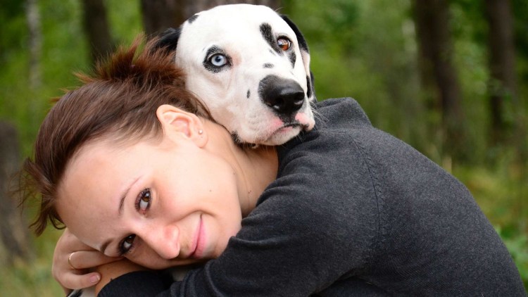 Девушка и собака прикол