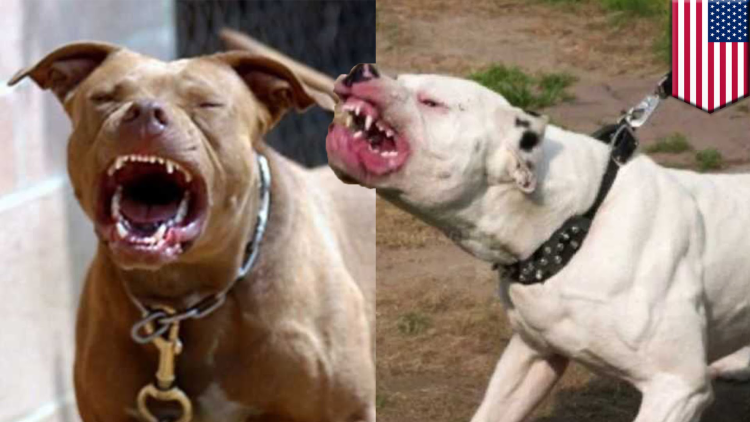 Собака динозавр