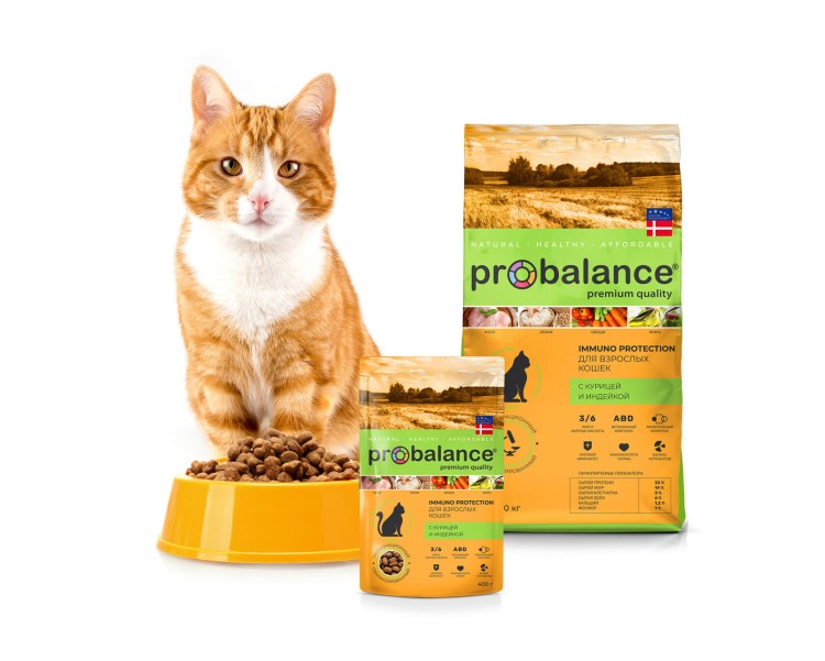 Кошачий корм в оранжевой упаковке