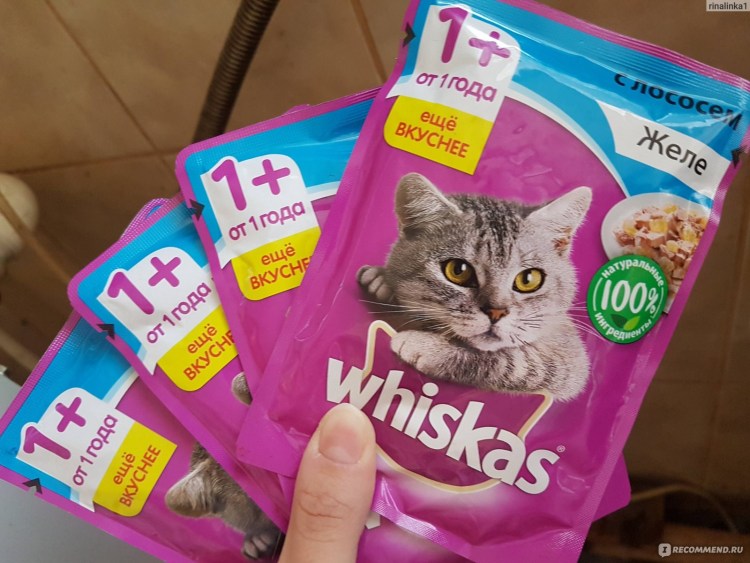 Whiskas желе с лососем