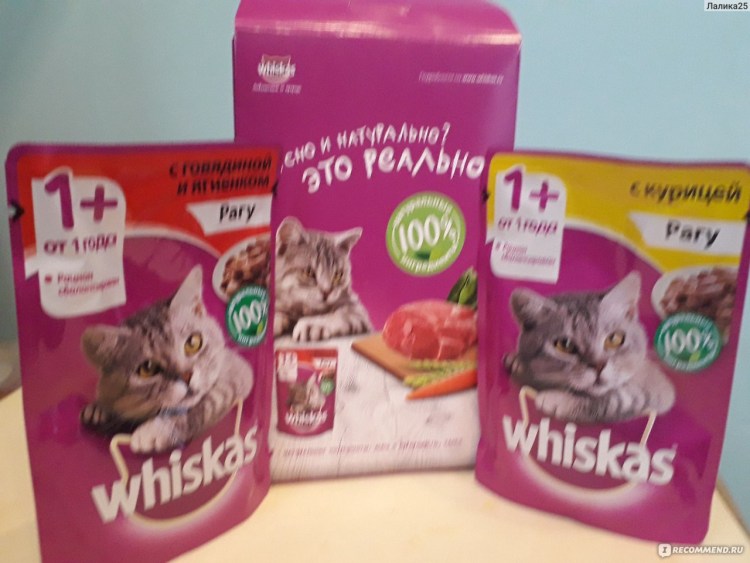 Корма суперпремиум класса для кошек