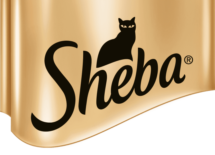 Сухой корм для кошек 365 дней