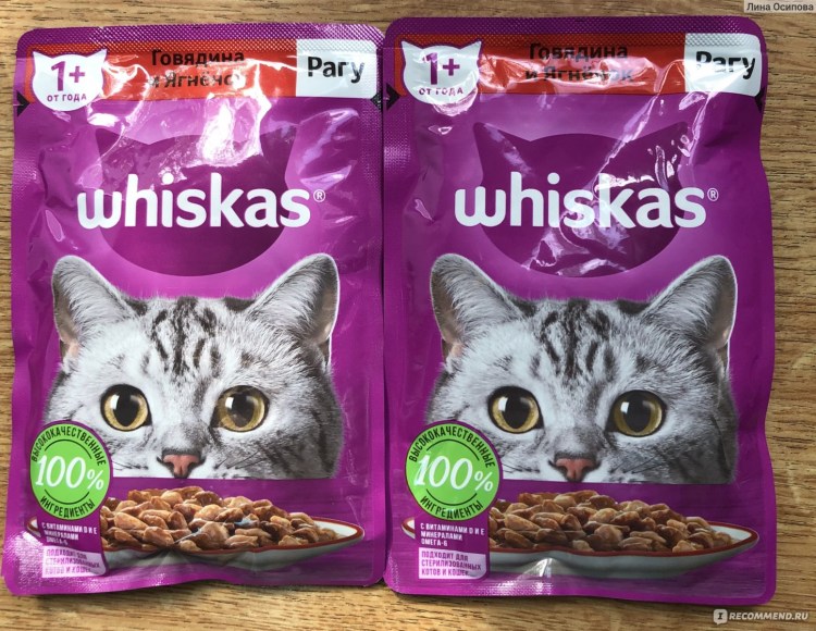 Сухой корм Пурина Ван для кошек