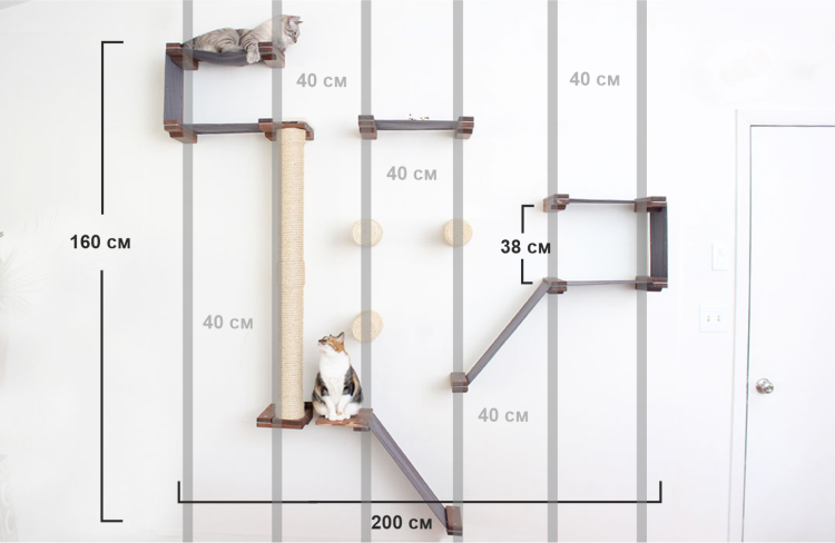 Чертежи комплексов для кошек