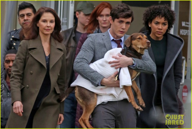 Брайс Даллас Ховард путь домой