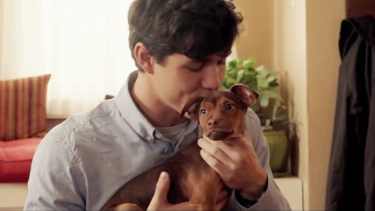 Путь домой фильм 2019 Постер