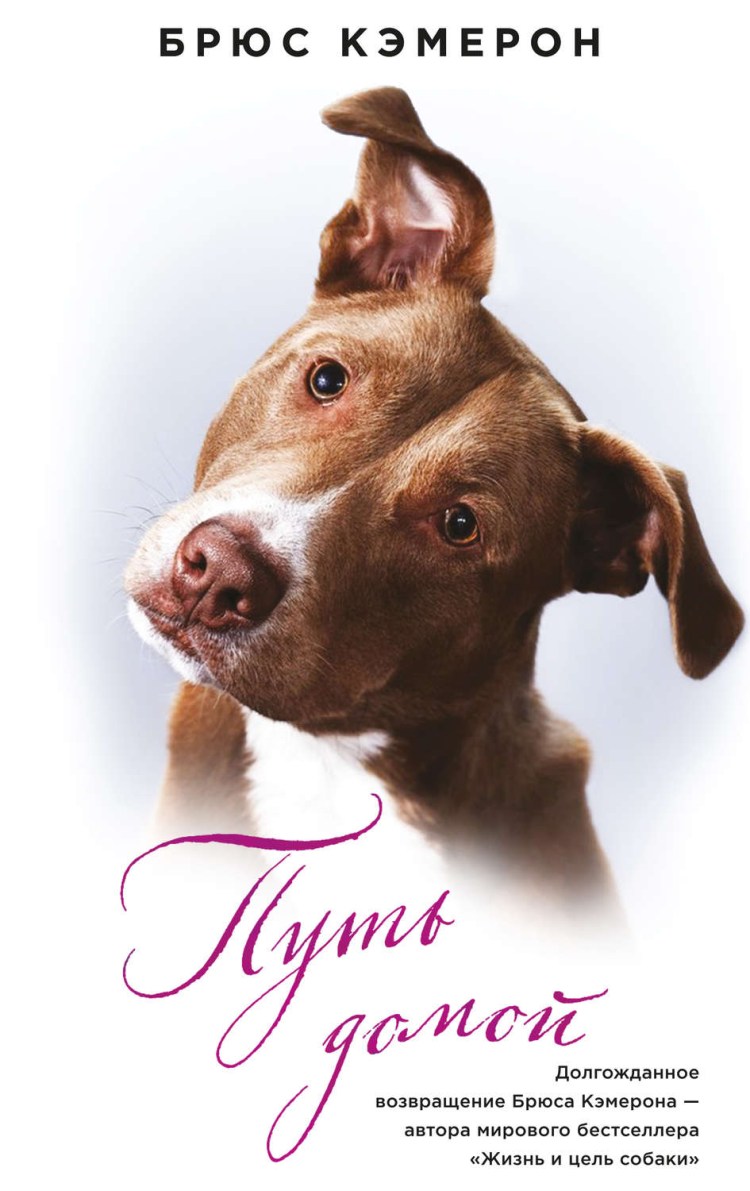 Путь домой фильм 2019