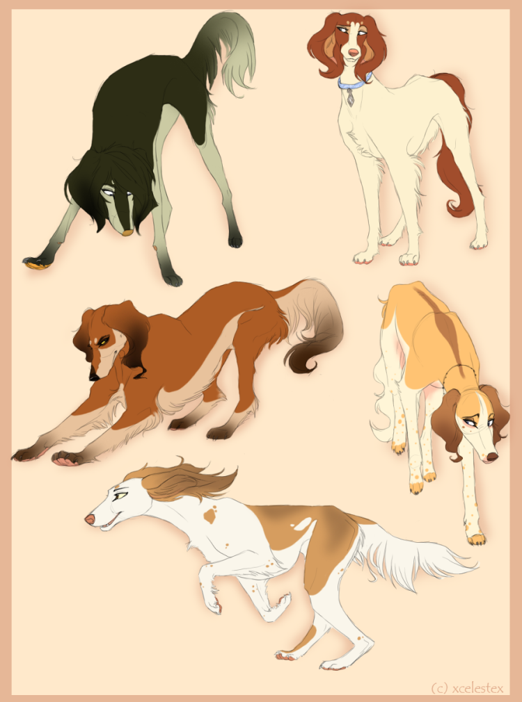 Служебные собаки таблица