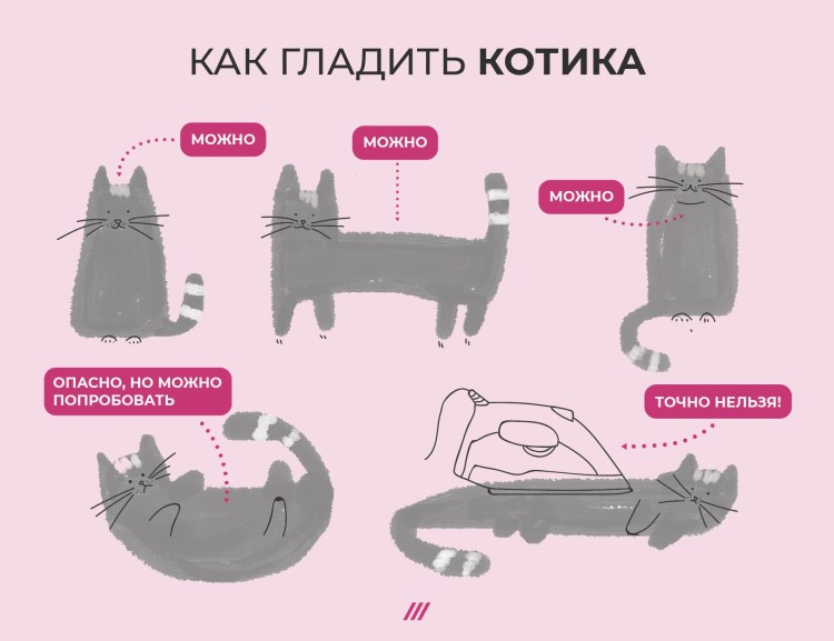 Как правильно гладить кота