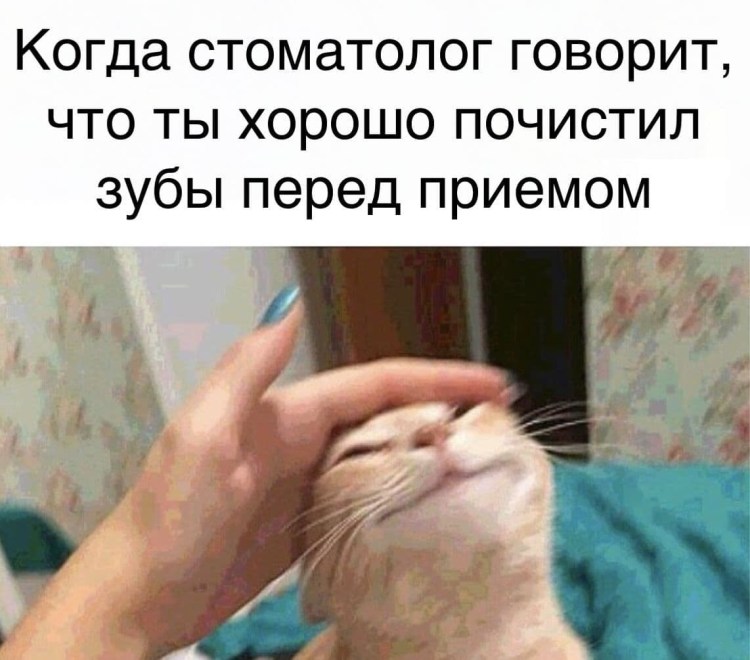 Мем приглаженный кот