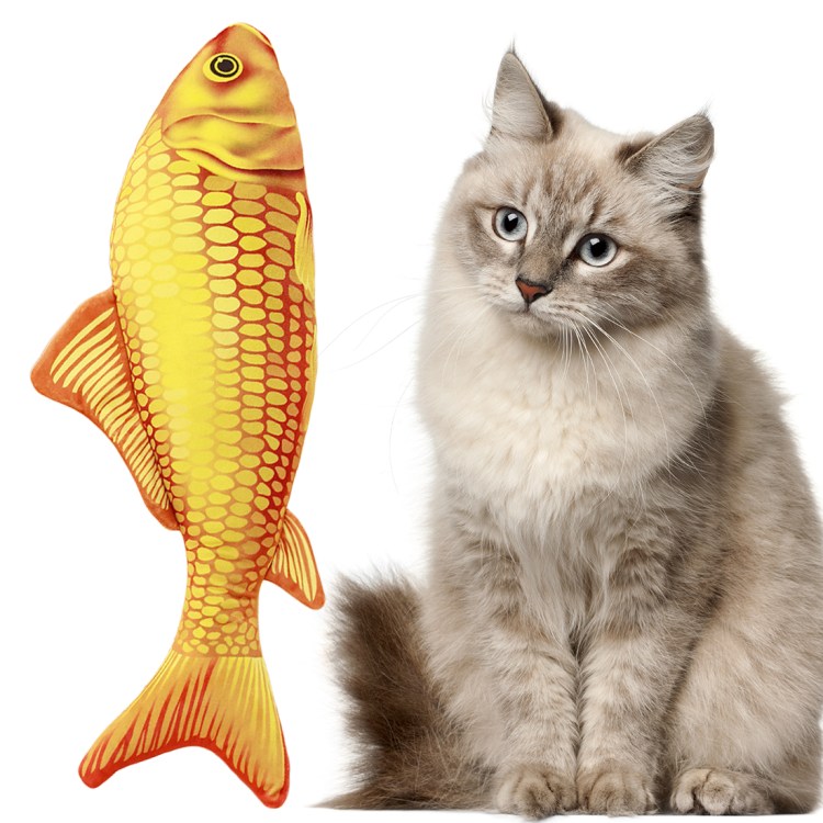 Домашние животные рыбки