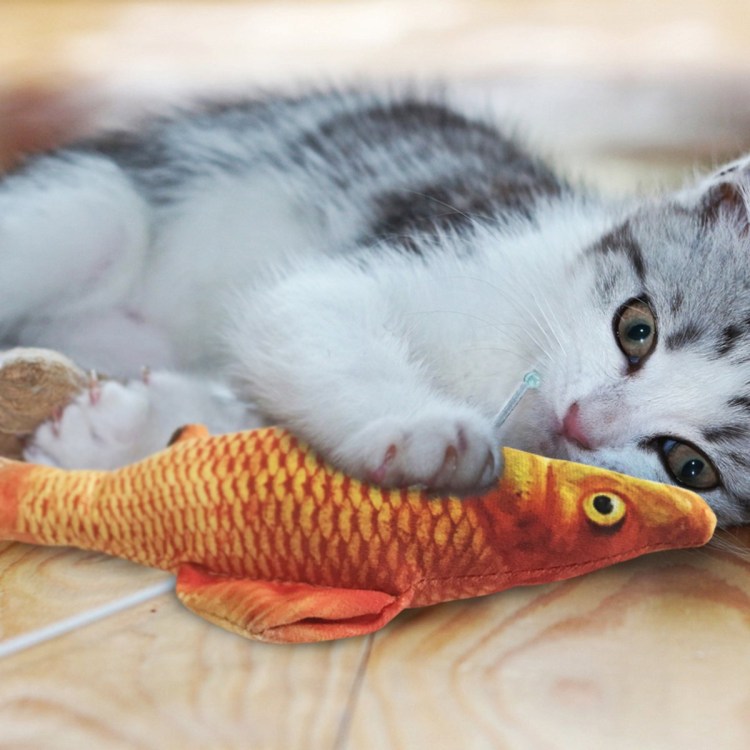 Рыбка для кошки