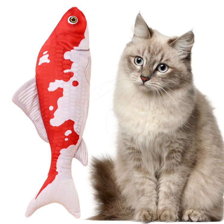 Котик с игрушечной рыбой