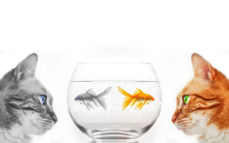 Кот с рыбкой игрушка