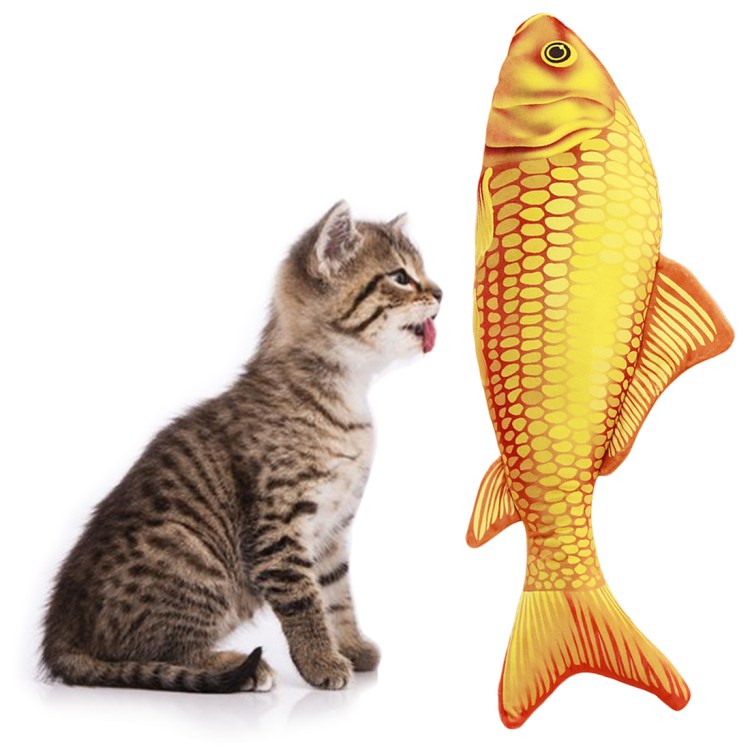 Котенок и аквариум