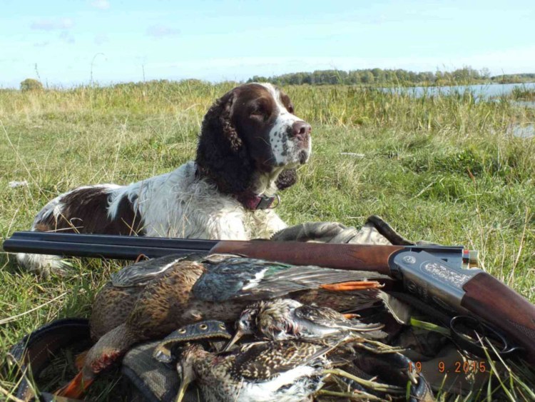 Охотничьи навыки