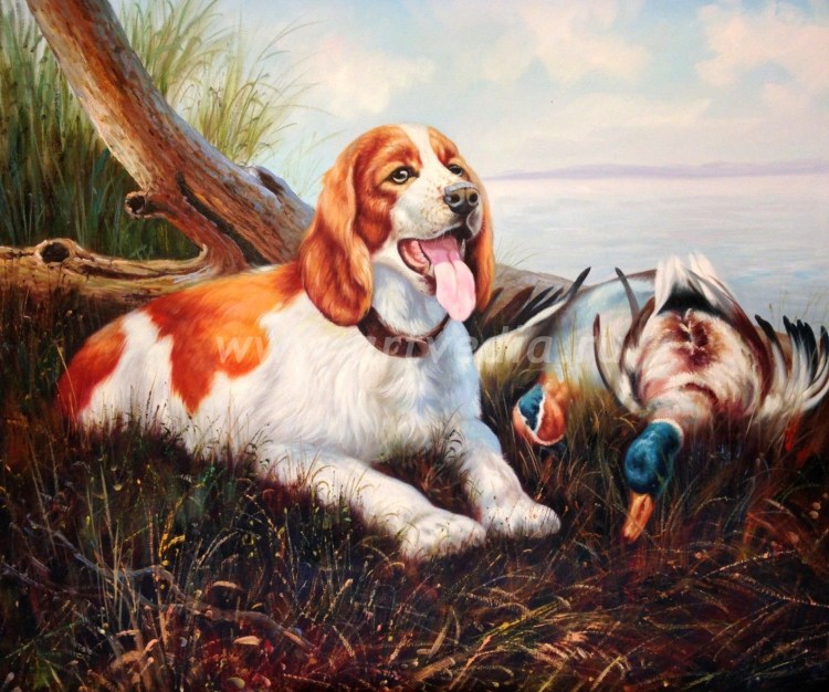 Русский охотничий спаниель