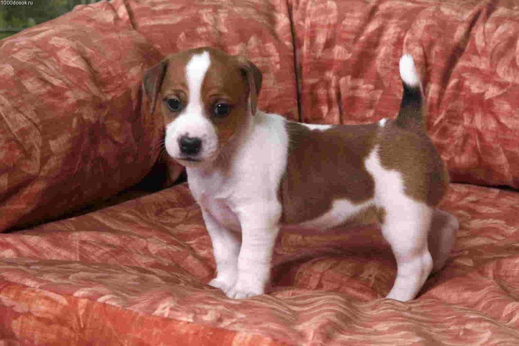 Майло из маски кадры