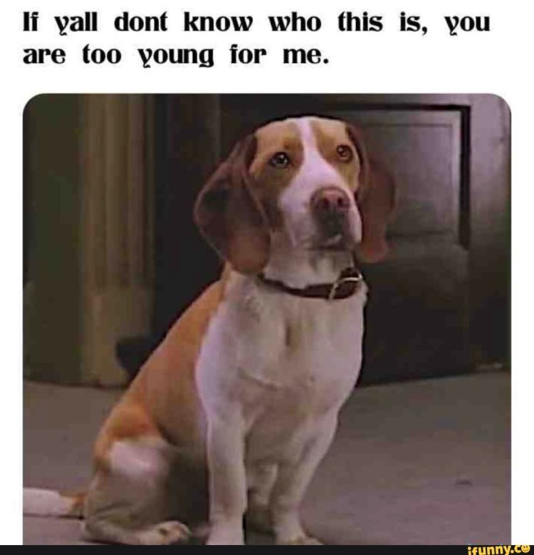 Рекс Рассел