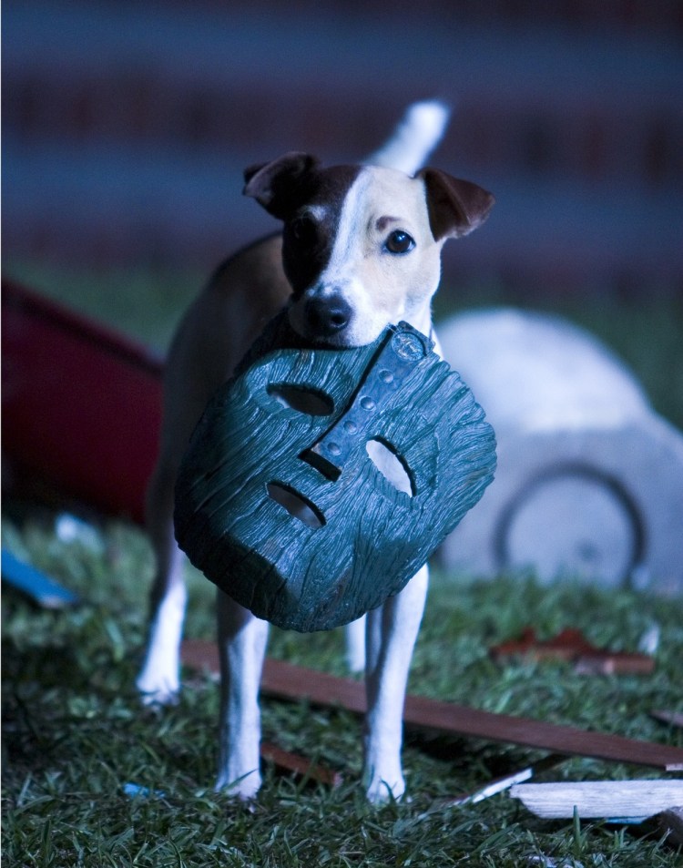 Джек Рассел