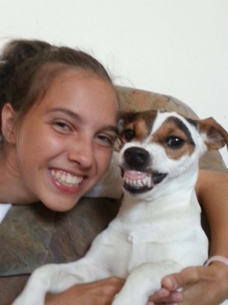 Майло собака