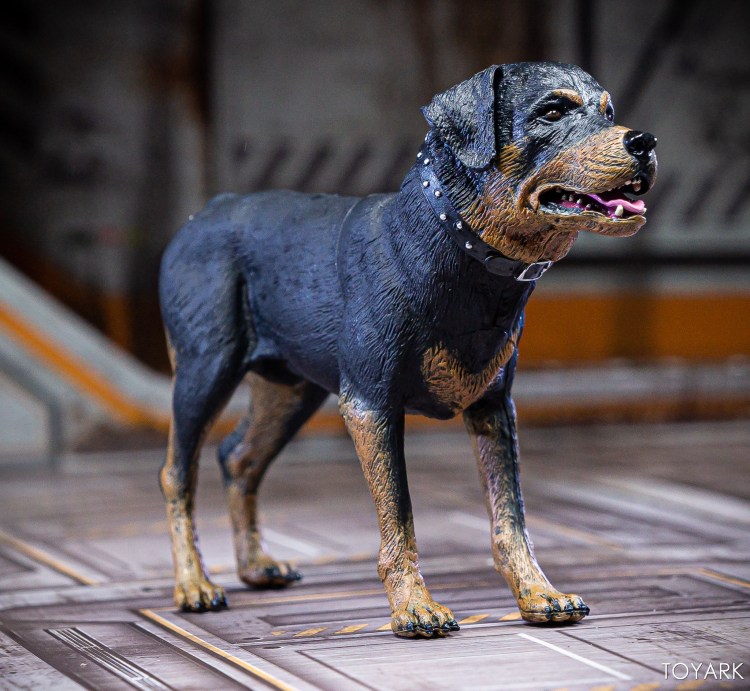 Доберман в страшном наморднике