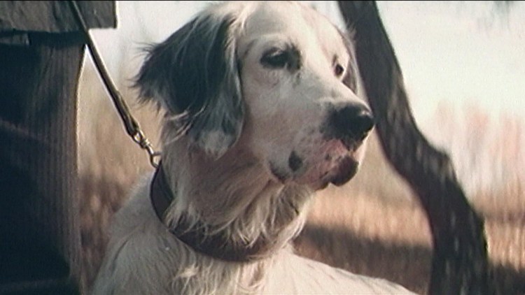 Баскервилей порода