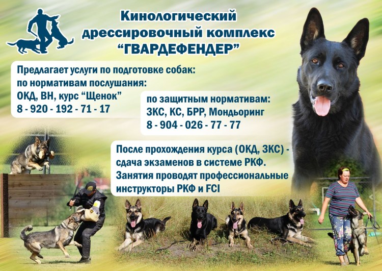 Дрессировка собак реклама