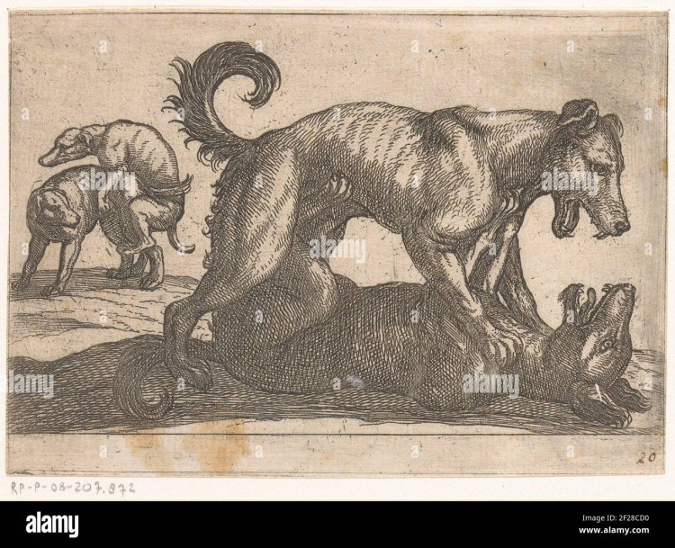 Средневековье скотоложество