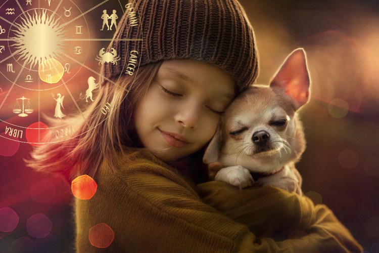 Девочка с собакой