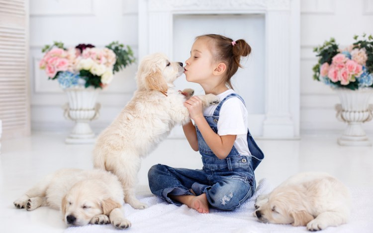 Домашние животные для детей