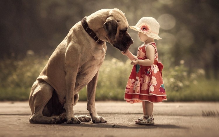 Собака для детей