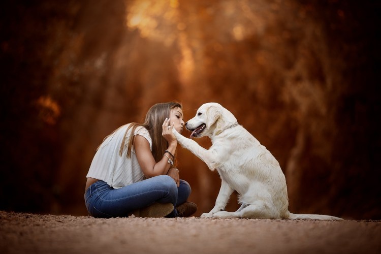 Девушка и собака любовь