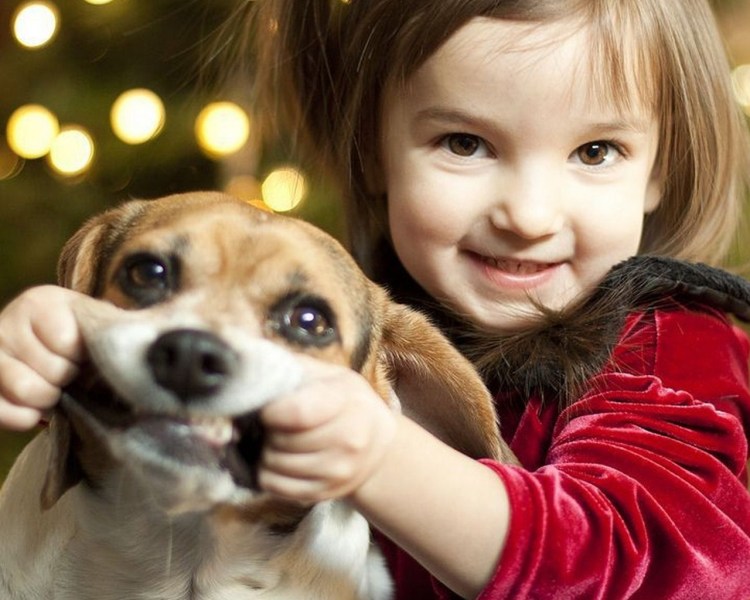 Зимницкая Арина