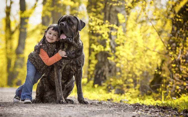 Фотосессия щенков