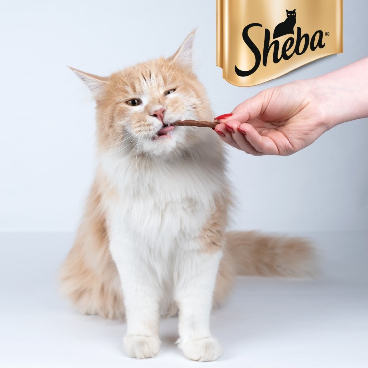 Лакомство для кошек Vitakraft Cat Stick Mini палочки лосось и форель